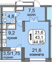 Однокомнатная квартира 45.5 м²